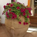Il Sogno Di Vincenzo E Maria 3*