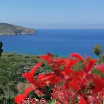 Il Sogno Di Vincenzo E Maria Bed and Breakfast Palinuro