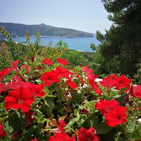 Bed and Breakfast Il Sogno Di Vincenzo E Maria Palinuro