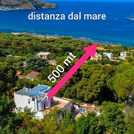 Il Sogno Di Vincenzo E Maria Palinuro